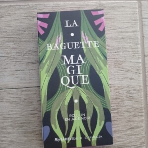 Roll-on en jade noir - Massage visage